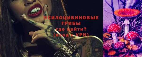 прущие грибы Алексеевка