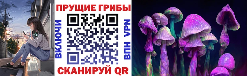 Галлюциногенные грибы мицелий Саров